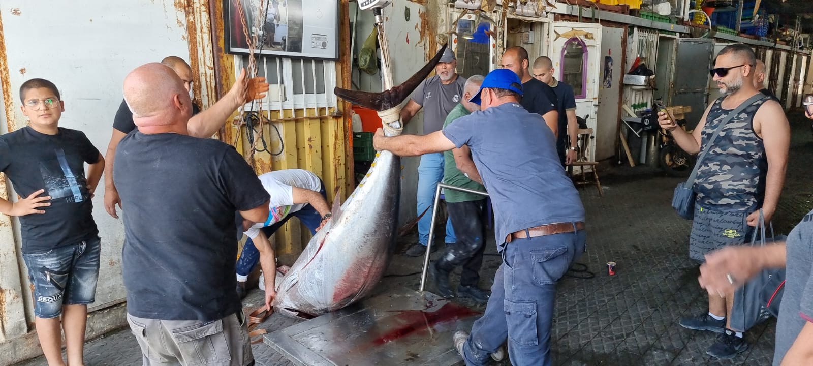 WhatsApp Image 2022-05-25 at 4.39.00 PM.jpeg